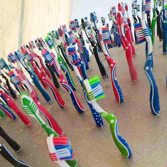 toothbrushes standing up say goodbye