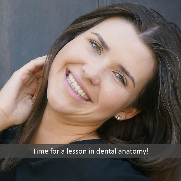 Bristol Park Dental -
