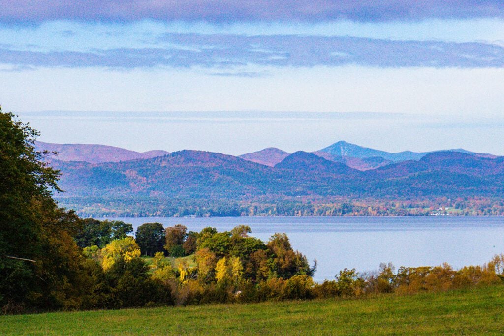 dentist in Colchester VT